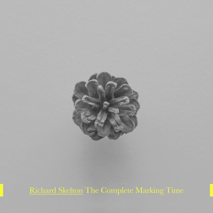 Richard Skelton - Marking Time